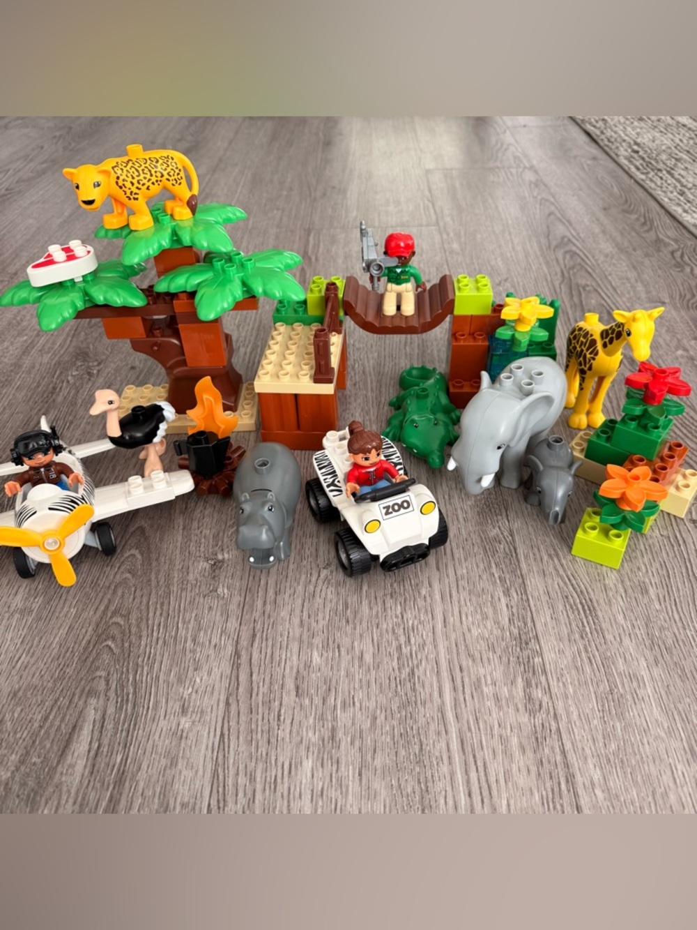 LEGO DUPLO: Photo Safari 6156 set